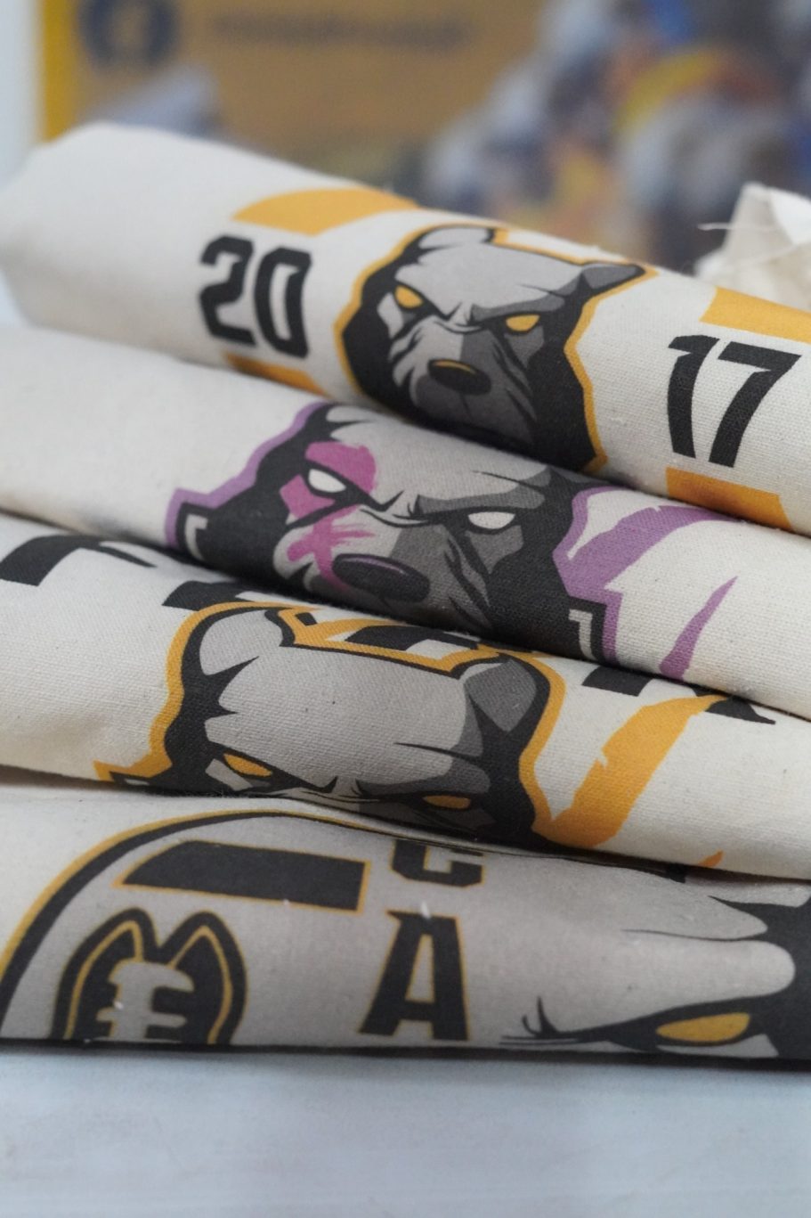 Sudaderas de Canes y She Canes Sudaderas de Canes y She Canes